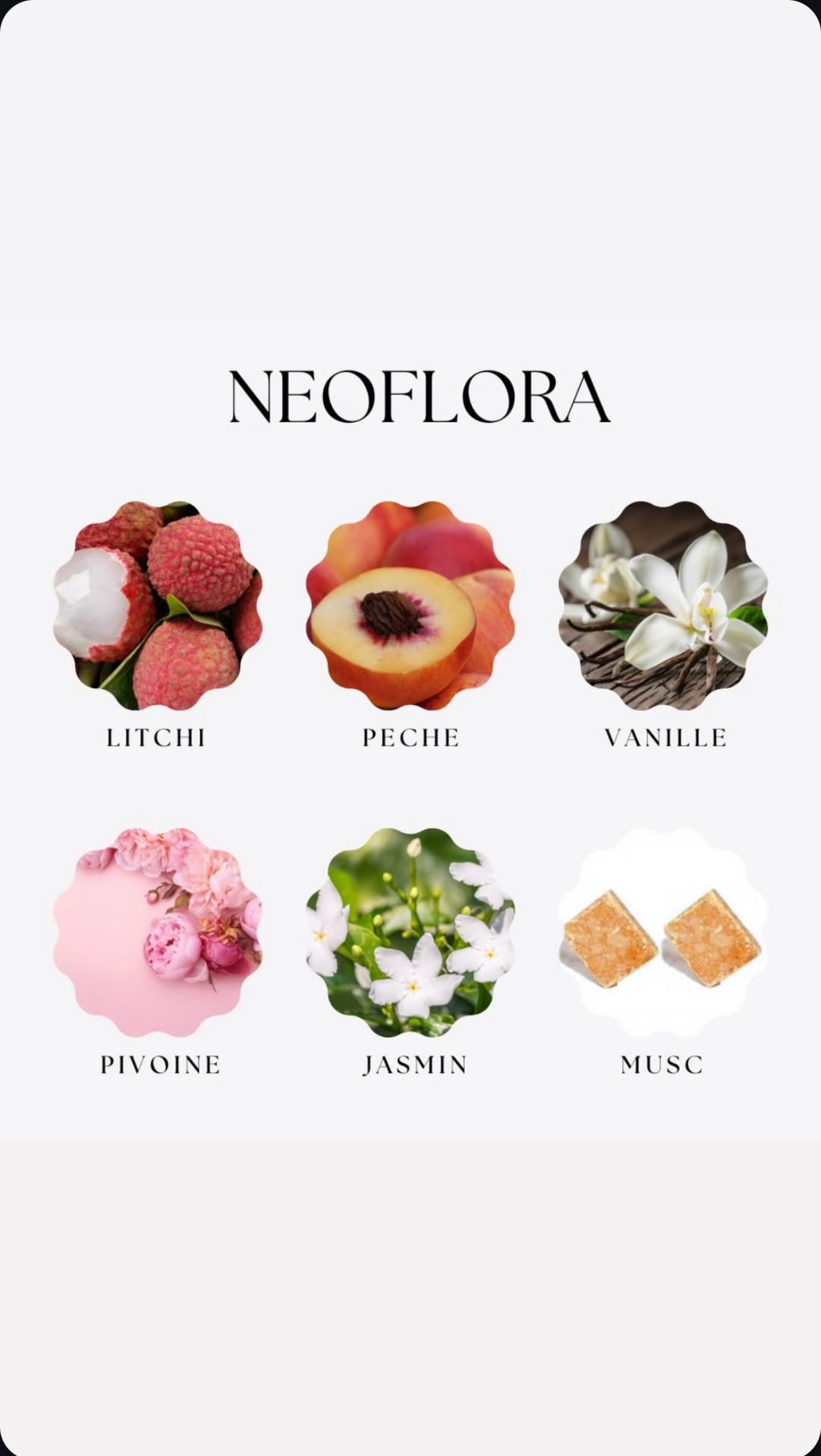 Neo Flora 50ml By ODP